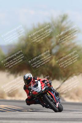 media/Oct-13-2025-Moto Forza (Mon) [[a66d839500]]/3-B Group/Session 4 Turn 4 Tree of Life/